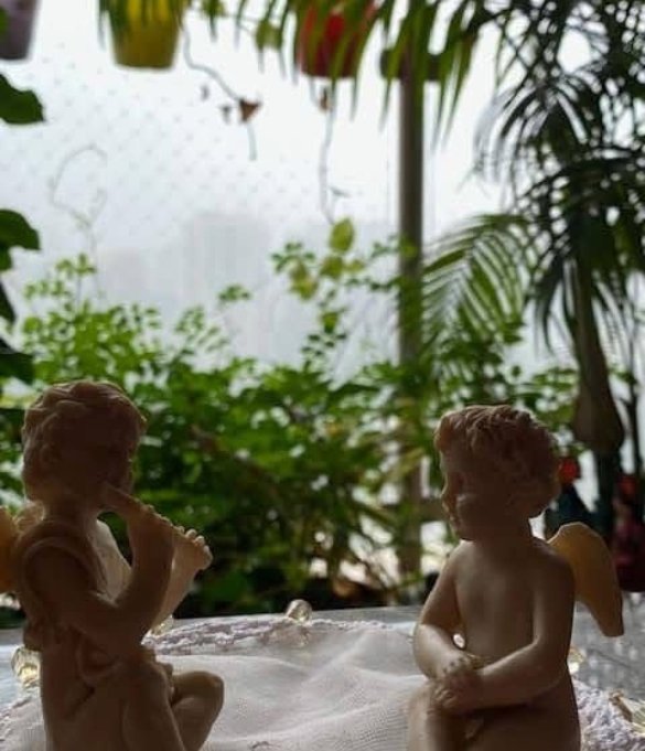 Pregnancy Protection Portal